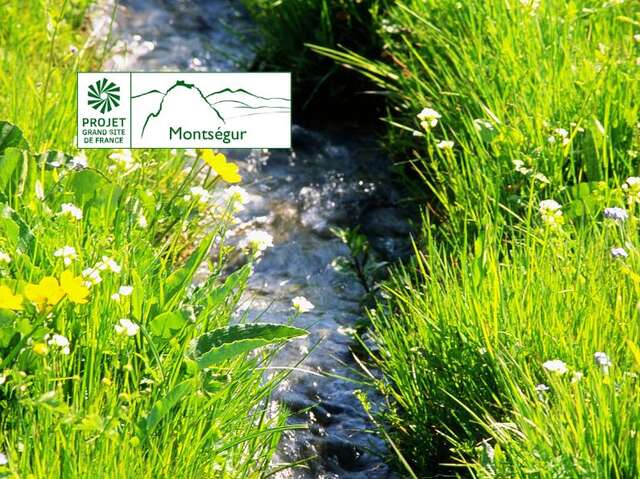 Des sommets vers la vallée, elle coule, elle coule, la rivière…