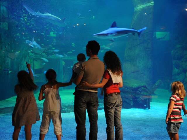 Seaquarium Institut Marin
