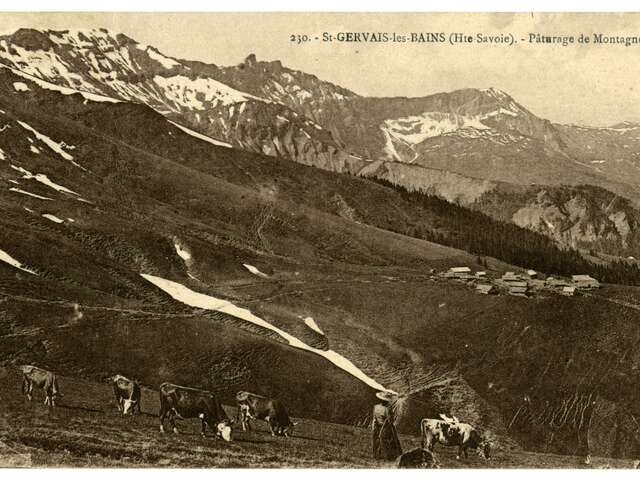 Conférence "Heidi, une petite fille pour découvrir les Alpes" - Gilles Fumey