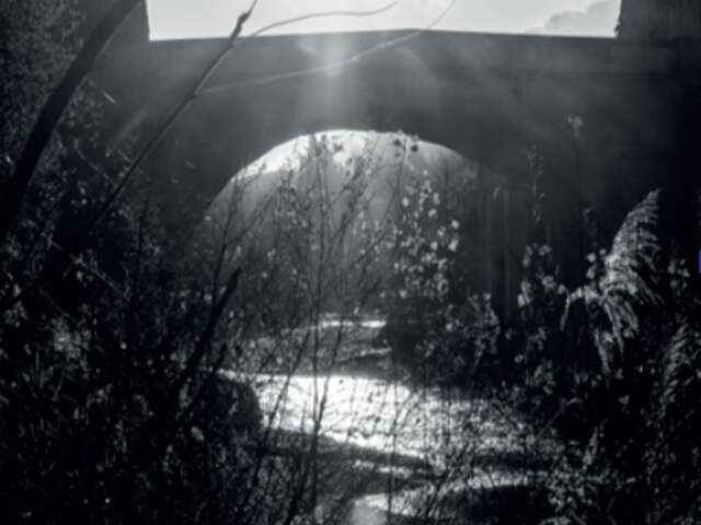 Tentoonstelling over water in de gemeentelijke mediatheek
