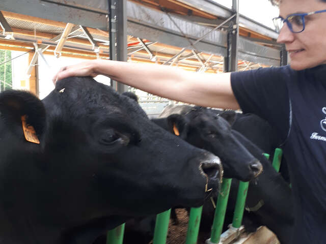 Ferme du Trèfle, les coulisses de l'innovation