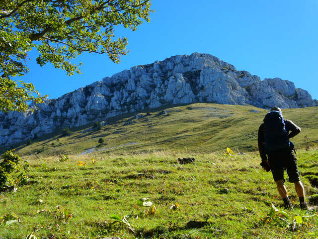L’alpage de la Grande Sure
