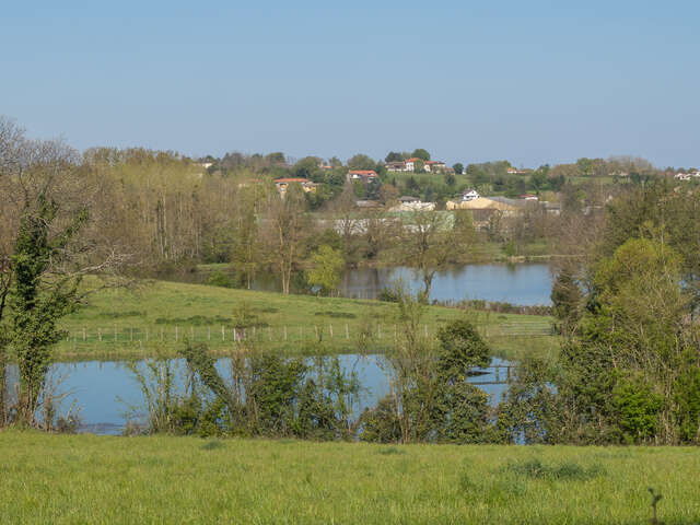 Circuit of the Forêt de Chassagne in Chalamont