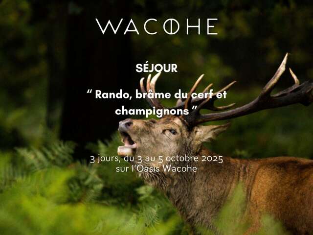 Hiking, stag beating and mushrooming' Stay - Wacohe