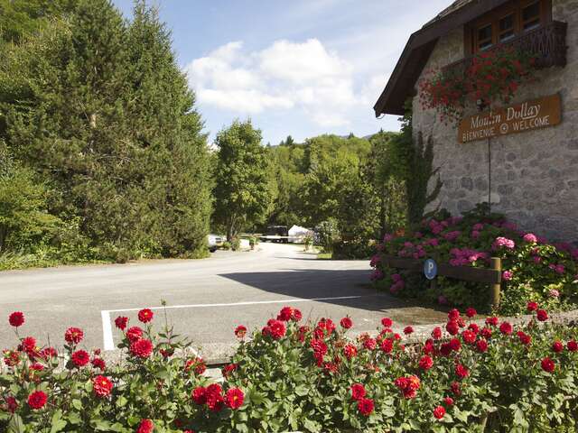 Camping Moulin Dollay