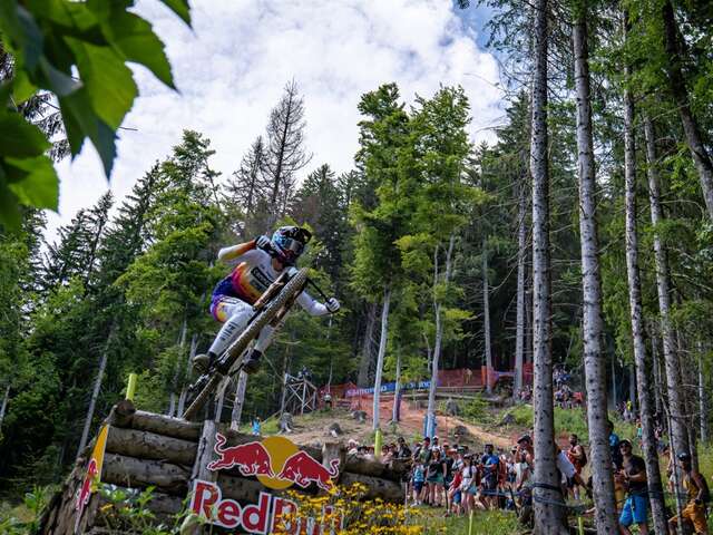 Downhill (DHI)