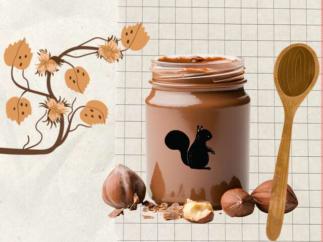 Atelier 7-13 ans au marais de Lavours : "Recettes et noisettes"