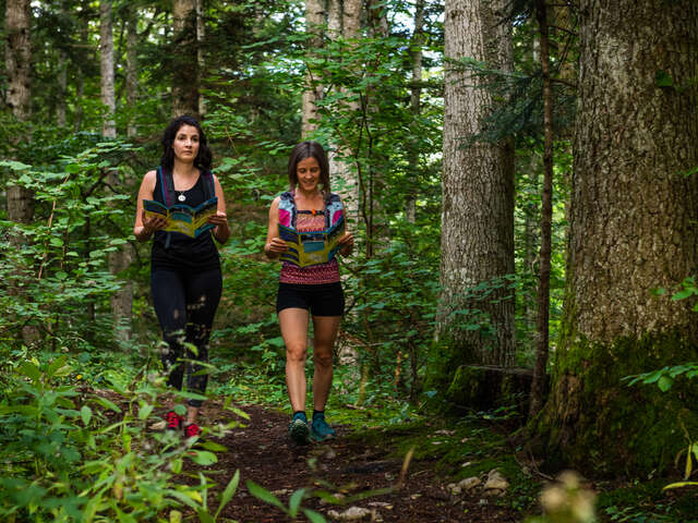 Oriëntatieloop "Sports Trail