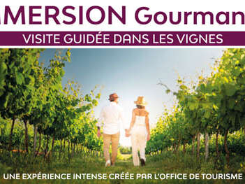 Immersion gourmande : Balade dans les vignes