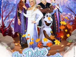 Spectacle : La Reine des Glaces 2