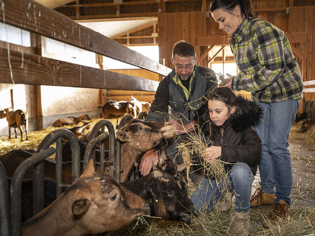 Accueil à la Chèvrerie de Vesonne