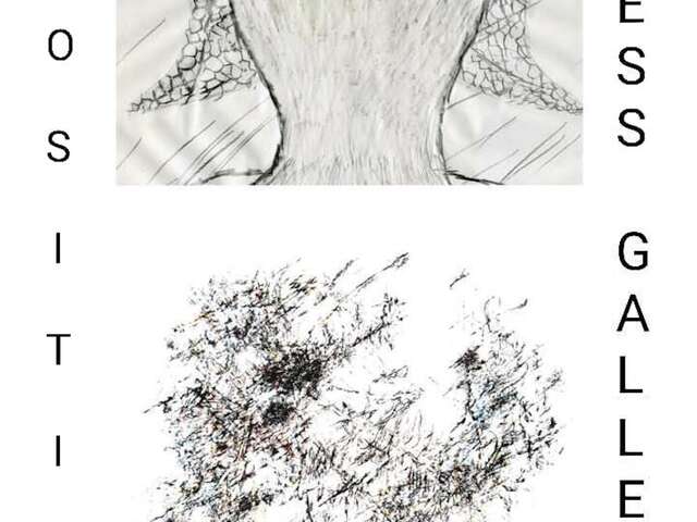 Vernissage exposition de dessins de Fabien Lopes et Patrick Lombe