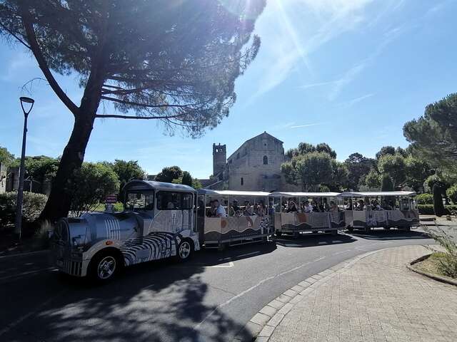 Le Petit Train Touristique de Vaison-la-Romaine