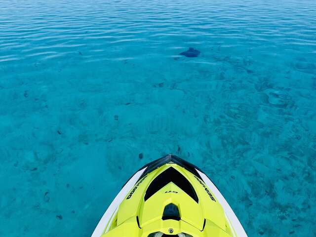 Moorea Paradise Activities