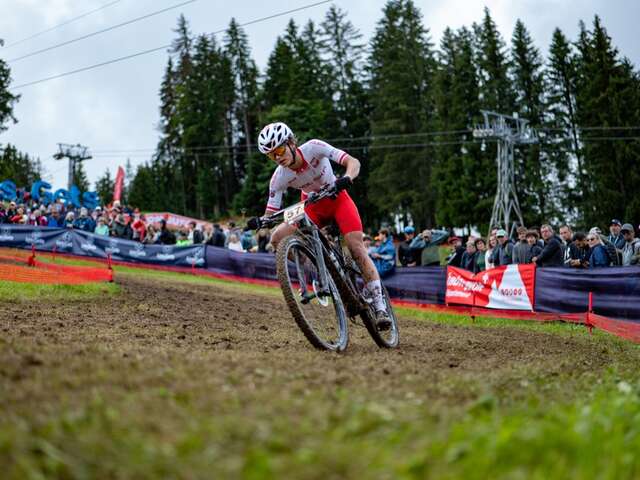 Cross-country short track (XCC) / Olympic cross-country (XCO)