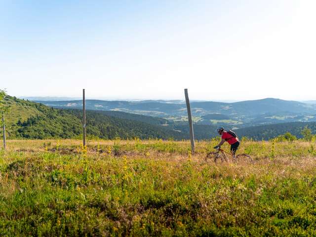Étape 9 - Grande traversée - Chalmazel-Jeansagnière > Col du Béal > Col des Supeyres