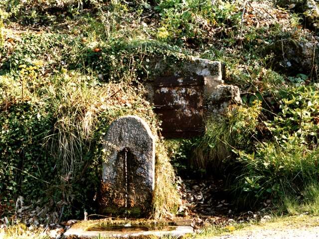 La Fontaine des Dragons de St Paul La Coste