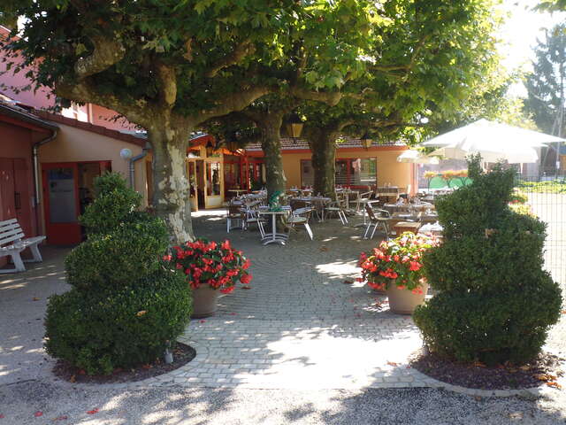 Les Platanes