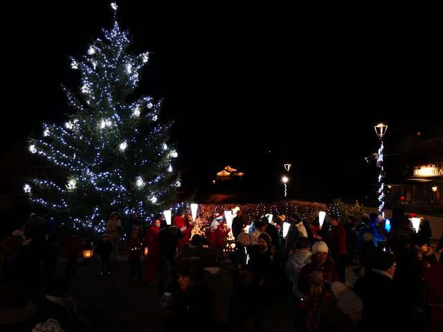 Cordon tree lighting evening