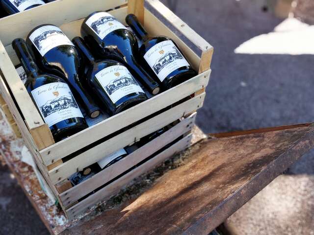 Dégustation de vin nature dans le vignoble