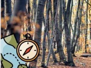 Le labyrinthe de la forêt (8 à 13 ans)