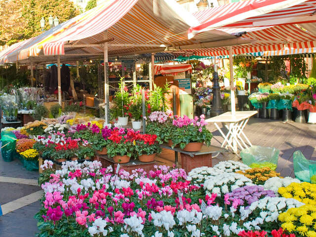 Marché aux Fleurs Cours Saleya