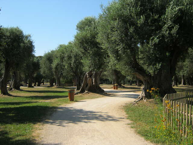 Parc du Cap Martin