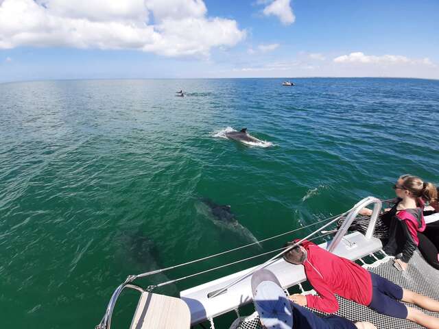 Location de catamaran avec skipper par Dream'On