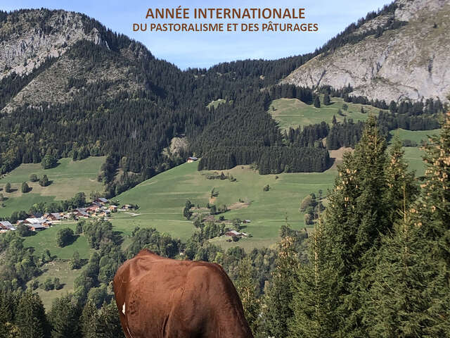 Regards croisés sur les alpages: screenings and expert exchanges