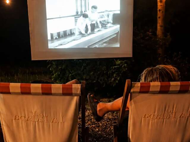 Projections à la Palapa