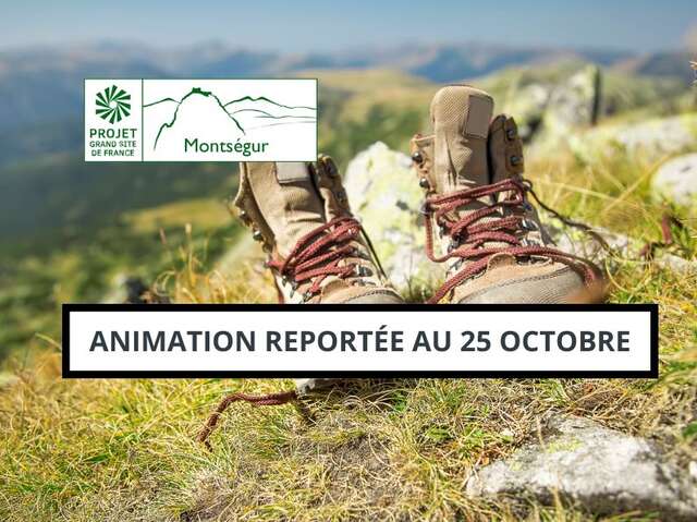 Ma randonnée de rêve : imaginer les paysages de demain