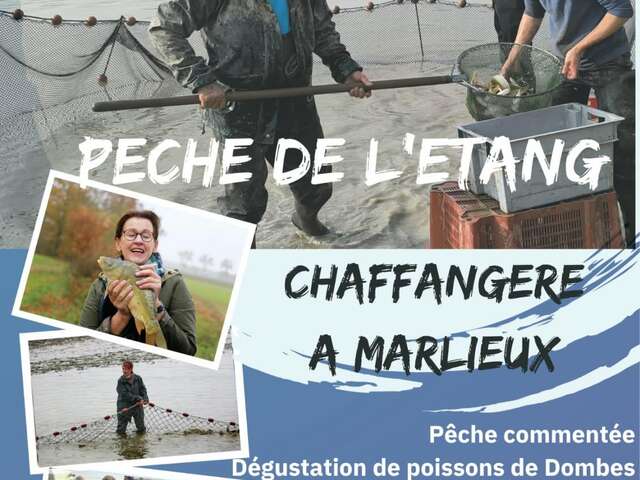 Pêche d'Etang