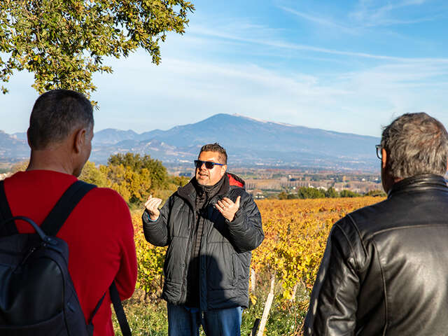 Explore and visit of the terroirs of Châteauneuf- du-Pape