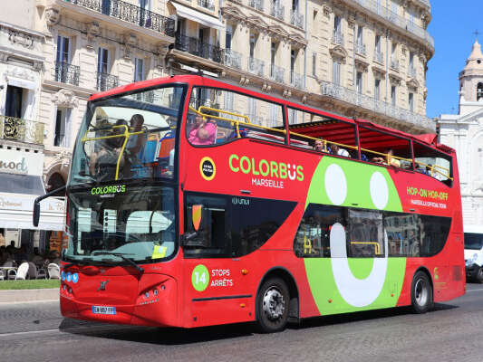 Hop-On Hop-off City Sightseeing Bus Tour