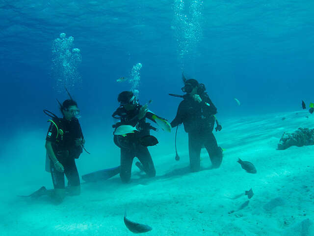 Tahiti Nui Diving