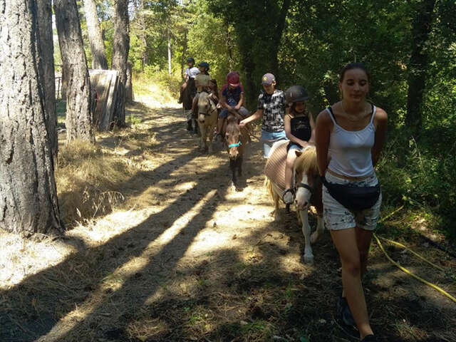 Les écuries de Bacchus, la mini ferme du Ventoux