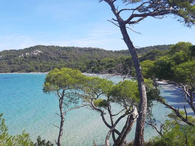 Porquerolles le Joyau des Iles d'Or