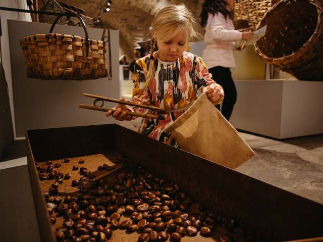 Castanea - Informatiecentrum over de kastanjes uit de Ardèche