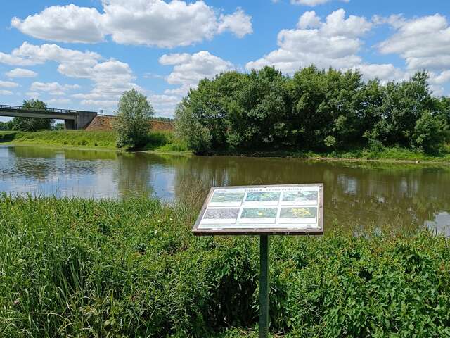 Briollay Educational Marsh