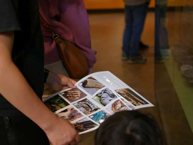 le 1er février ouvrez l'oeil, le Grand Site de France de l'Aven d'Orgnac rouvre en mode jeu !