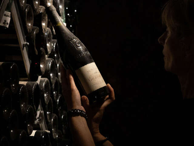 Goûter le Temps : Visite et dégustation au Domaine de Montvac