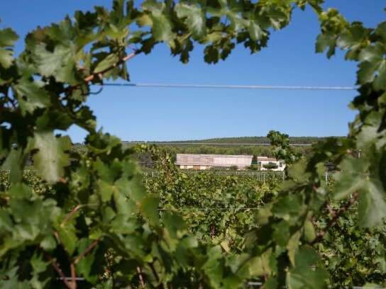 Domaine de Belambrée