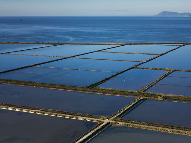 Sentier du littoral – Balade du Salin de Pesquiers aux Vieux Salins