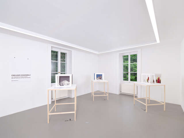 Visite artiste-commissaire : art et activisme