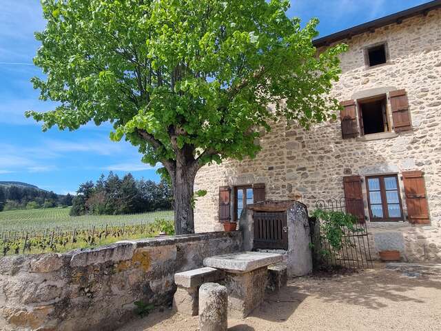 Domaine de la Paroisse - Jean-Claude et Laëtitia Chaucesse