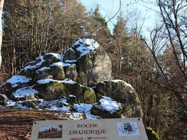PR040 La Roche druidique de Crouzilhac