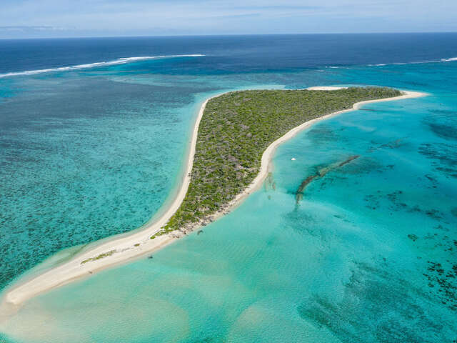 Îlot Tenia