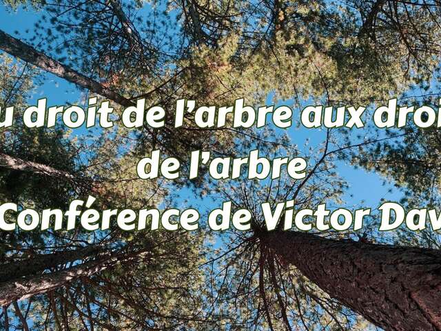 Du droit de l’arbre aux droits de l’arbre - conférence