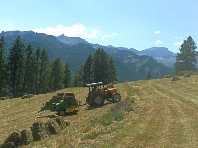 La ferme des Moulins