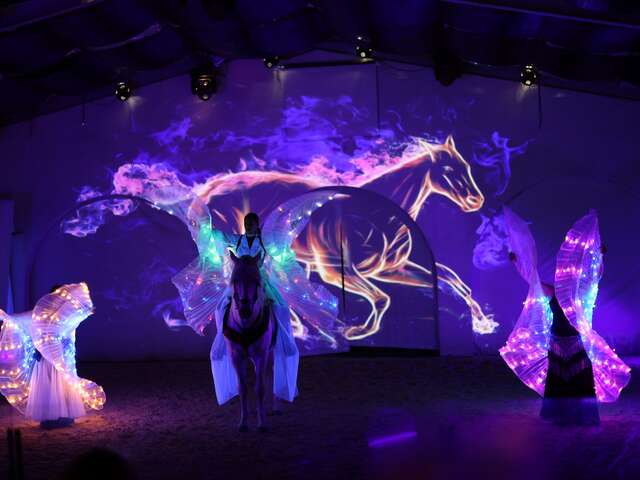 Cabarets Equestres de Camargue